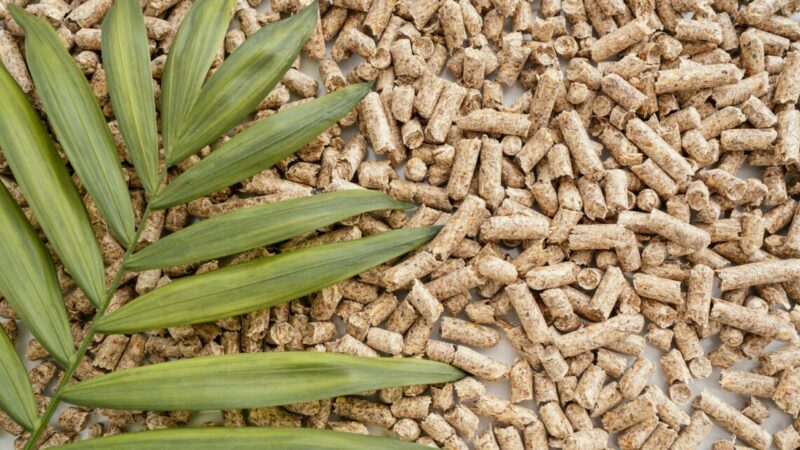 «Группа Агроком» инвестирует 800 млн рублей в комбикормовый завод на Дону