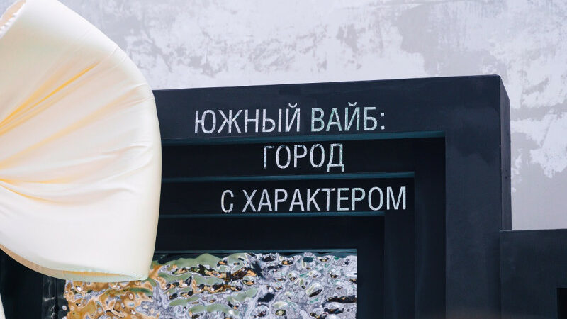 РБК Юг и Северный Кавказ презентовал новый спецпроект «Южный вайб»