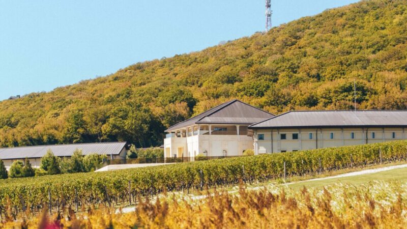 Отдых в межсезонье: куда отправиться в Краснодарском крае в октябре-ноябре