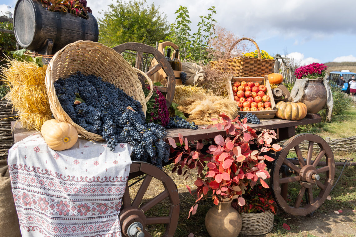 Фестиваль «Красностоп Золотовский» собрал гостей в этно-хуторе Старозолотовский