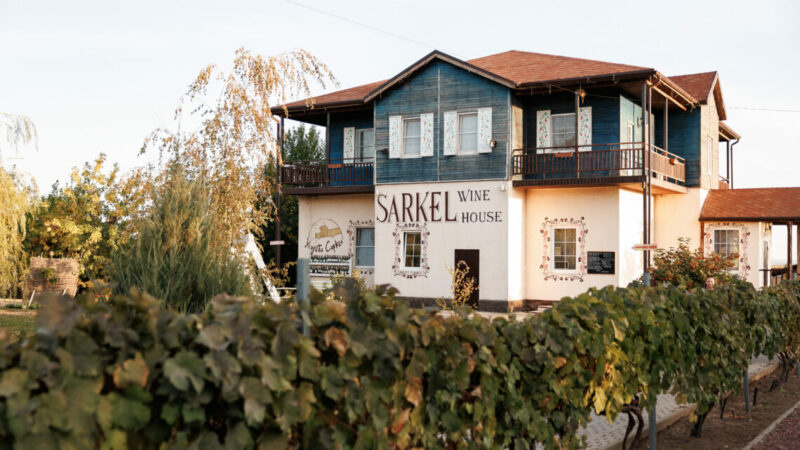 Отдых под лозой: почему российские туристы потянулись на фермы и винодельни Юга