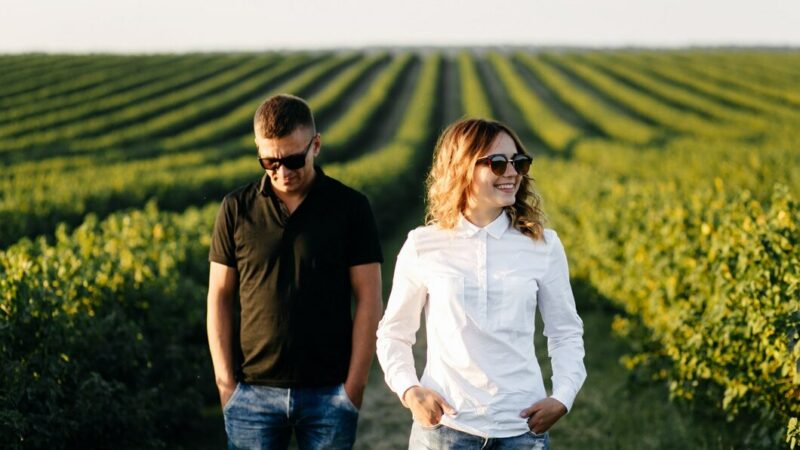 На Кубани разработают цифровой сервис для винного туризма