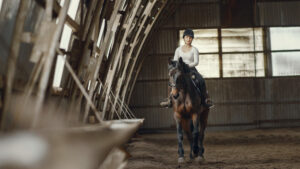 На Дону разработают стратегию развития коневодства для сохранения пород