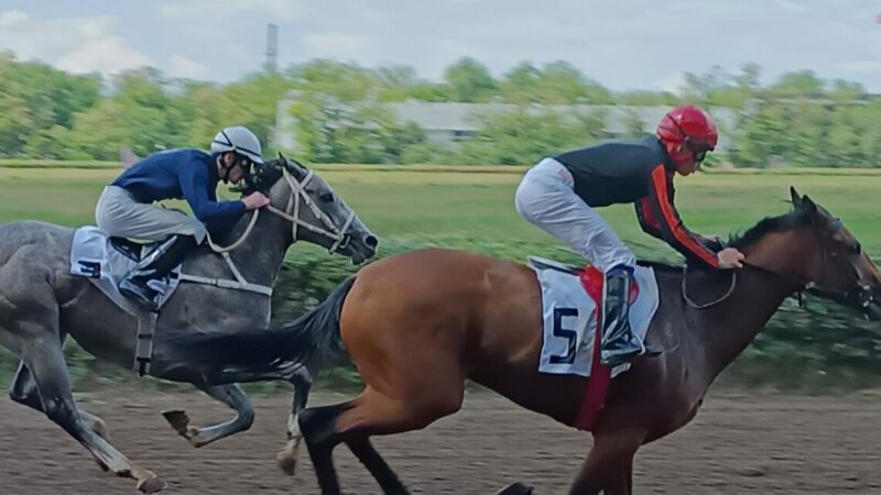 Новый ипподром на Дону могут построить в районе Щепкинского поселения