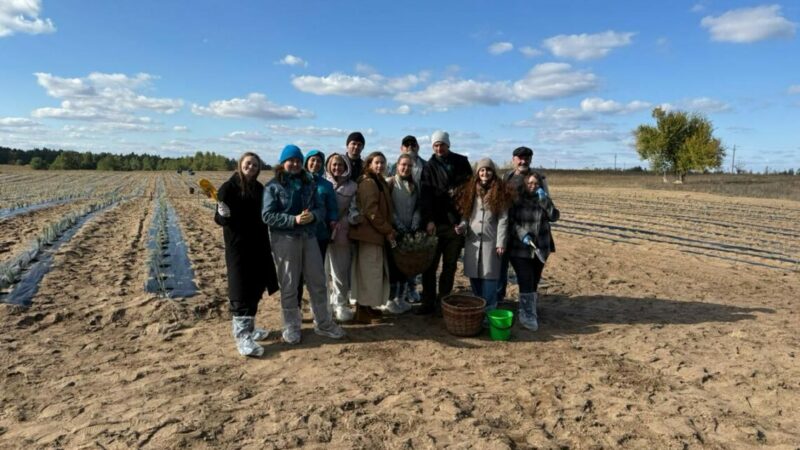 В Усть-Донецком районе Ростовской области появится еще одно поле лаванды