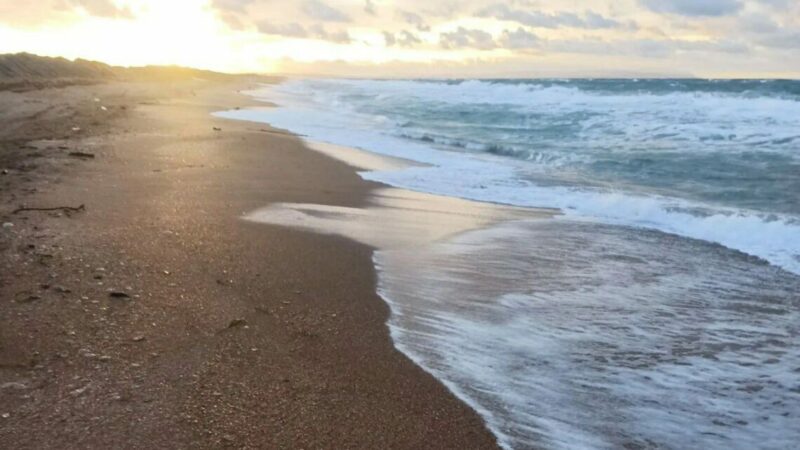 Сохранение мазута в Черном море угрожает вторичным загрязнением на 2-3 года