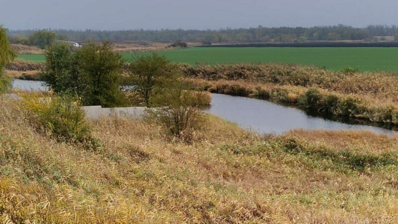Факт наличия маслянистого пятна в реке Дон подтвердился