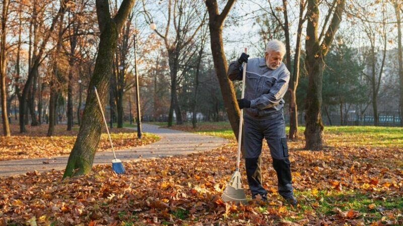 Дворникам Ростовской области платят больше на 52%, чем они требуют