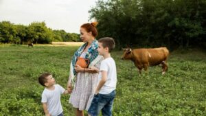 Цифровые полки натуральных продуктов: как из любви к детям открыть фермерский онлайн-магазин