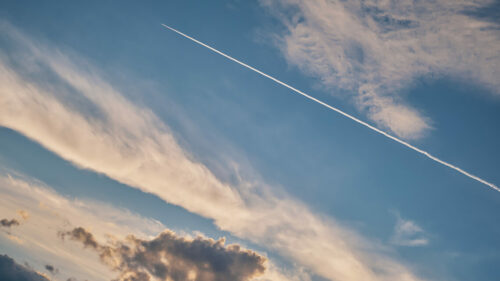 БПЛА уничтожили в Каменском районе Дона