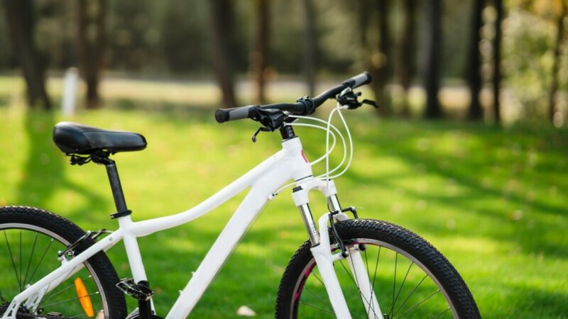 В Ростове-на-Дону отменили традиционный весенний велопарад