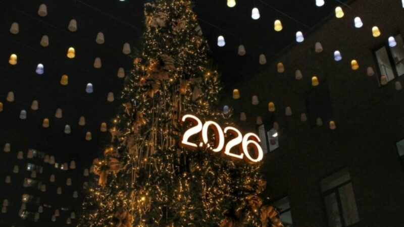 Фоторепортаж: Ростов-на-Дону встречает 2026 год