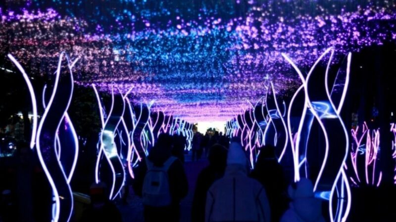 Гирлянды, инсталляции и елки: как украшен Краснодар в канун Нового года