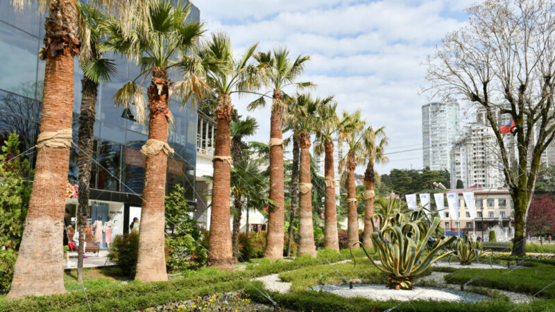 В собственность Сочи вернули землю на месте кинотеатра «Спутник» 