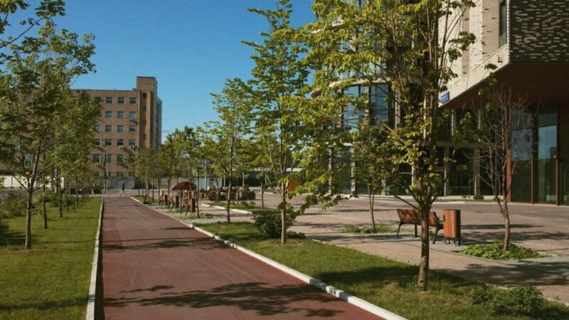 На жителей ЮФО в 2025г. пришлось 13% сделок с льготной ипотекой в новых регионах