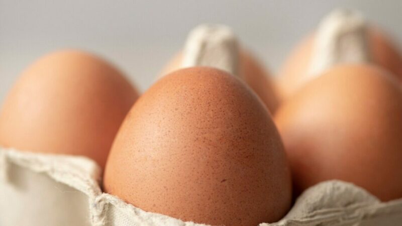 В Краснодарском крае в 2025 г. яйца стали дешевле на 15%