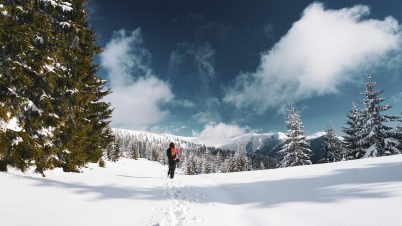 В Сочи прогнозируют сильный мокрый снег и гололед