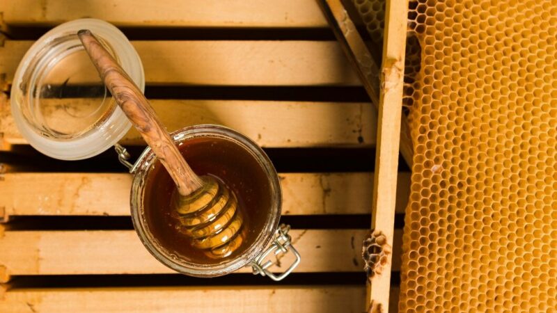 В Ростовской области мед за год подорожал на 13%