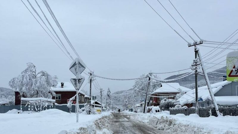 На Кубани без электроснабжения из-за непогоды остаются 43 тыс. человек