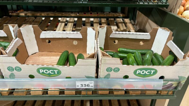 Эксперт по ценообразованию объяснил подорожание огурцов на Дону