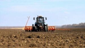 На Кубани площадь сева сахарной свеклы в 2026 г. составит 225 тыс. га