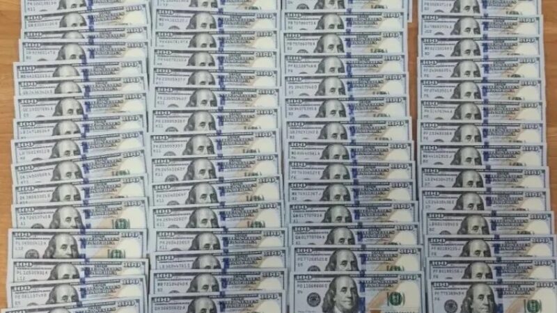 В аэропорту Сочи пресекли ввоз незадекларированных 25 тыс. долларов США