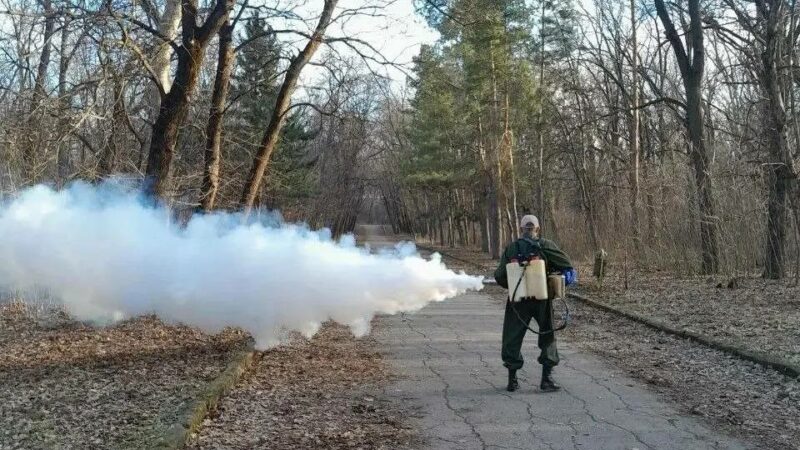 В Ростове началась противоклещевая обработка парков и рощ