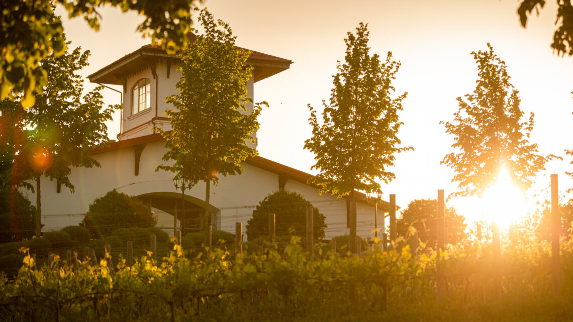 Среди лоз: где на Кубани отдохнуть с видом на виноградники