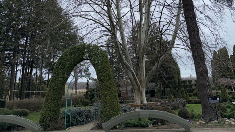 В питомнике в Армавире благоустроили турмаршрут
