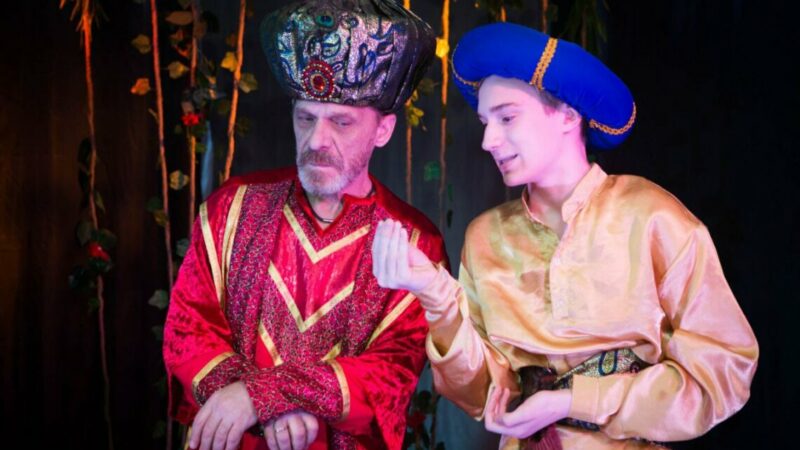 Как открыть семейный театр