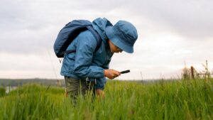 Сезон клещей на Юге: как защититься от укуса и что делать, если клещ уже укусил