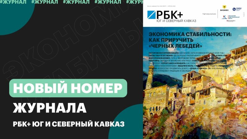 Экономика стабильности: как приручить «черных лебедей» — вышел новый номер журнала РБК+Юг и Северный Кавказ