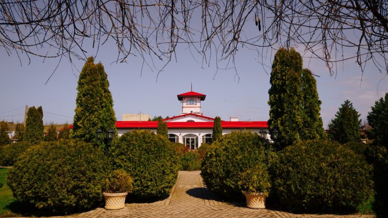 «Гедонизм винодела»: за кадром первого выпуска в Долине Лефкадия