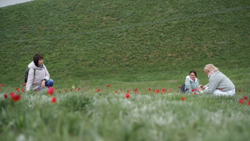 На Дону провели фестиваль экотуризма «Воспетая степь»