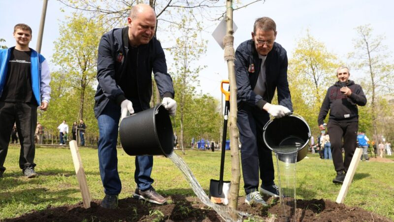 В День древонасаждений в Ростове высадили более 7 тыс. деревьев и кустарников