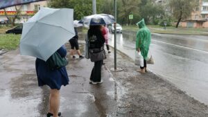 Госавтоинспекция Дона предупредила об опасности ДТП из-за непогоды