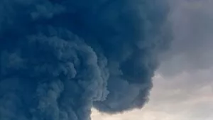 На Кубани потери от лесных пожаров уменьшились почти в 7 раз в 2026 г.