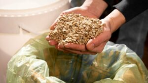 Экспорт продукции АПК Кубани вырос в 1,5 раза в первом полугодии 2026 года