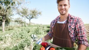 На Кубани зарплата в сфере АПК выросла на 10% за год