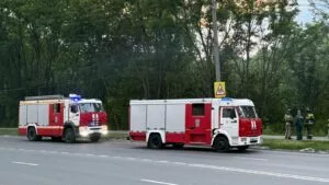 Пожар в Романовском лесничестве на Дону нанес ущерб на 3,5 млн рублей