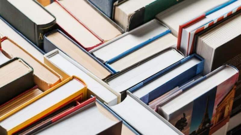 Монетизировать слова: как краснодарские писатели зарабатывают на продаже книг