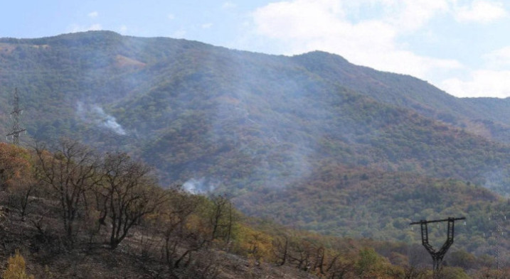 Число лесных пожаров на Юге России в 2023 году сократилось в 1,2 раза