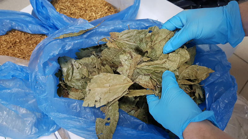 Владельцев клуба медитаций в Геленджике задержали за контрабанду наркотиков из Австрии