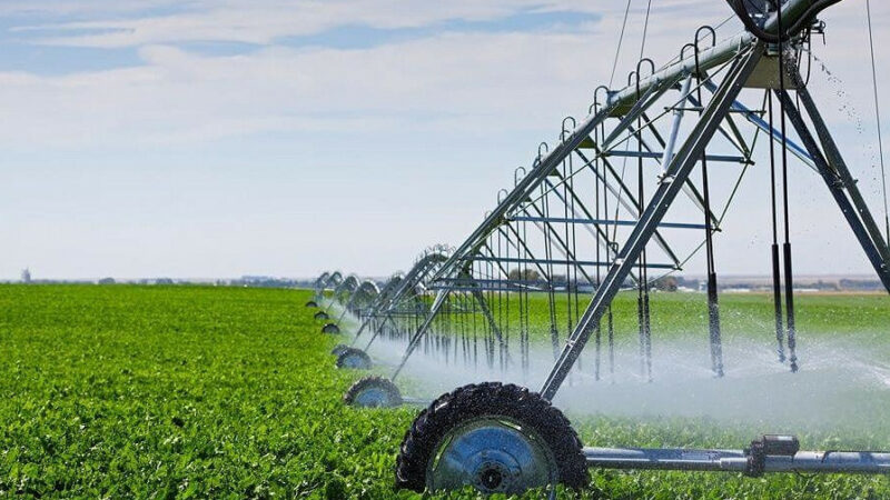 На Кубани в 2022 году введут 3,7 тыс. га мелиорируемых земель