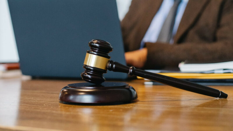 Минприроды Кубани добивается сноса базы отдыха на территории лесничества под Геленджиком