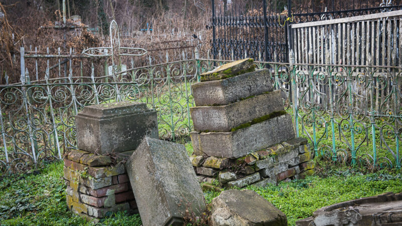 В Краснодаре планируют очистить от аварийных деревьев Всесвятское кладбище