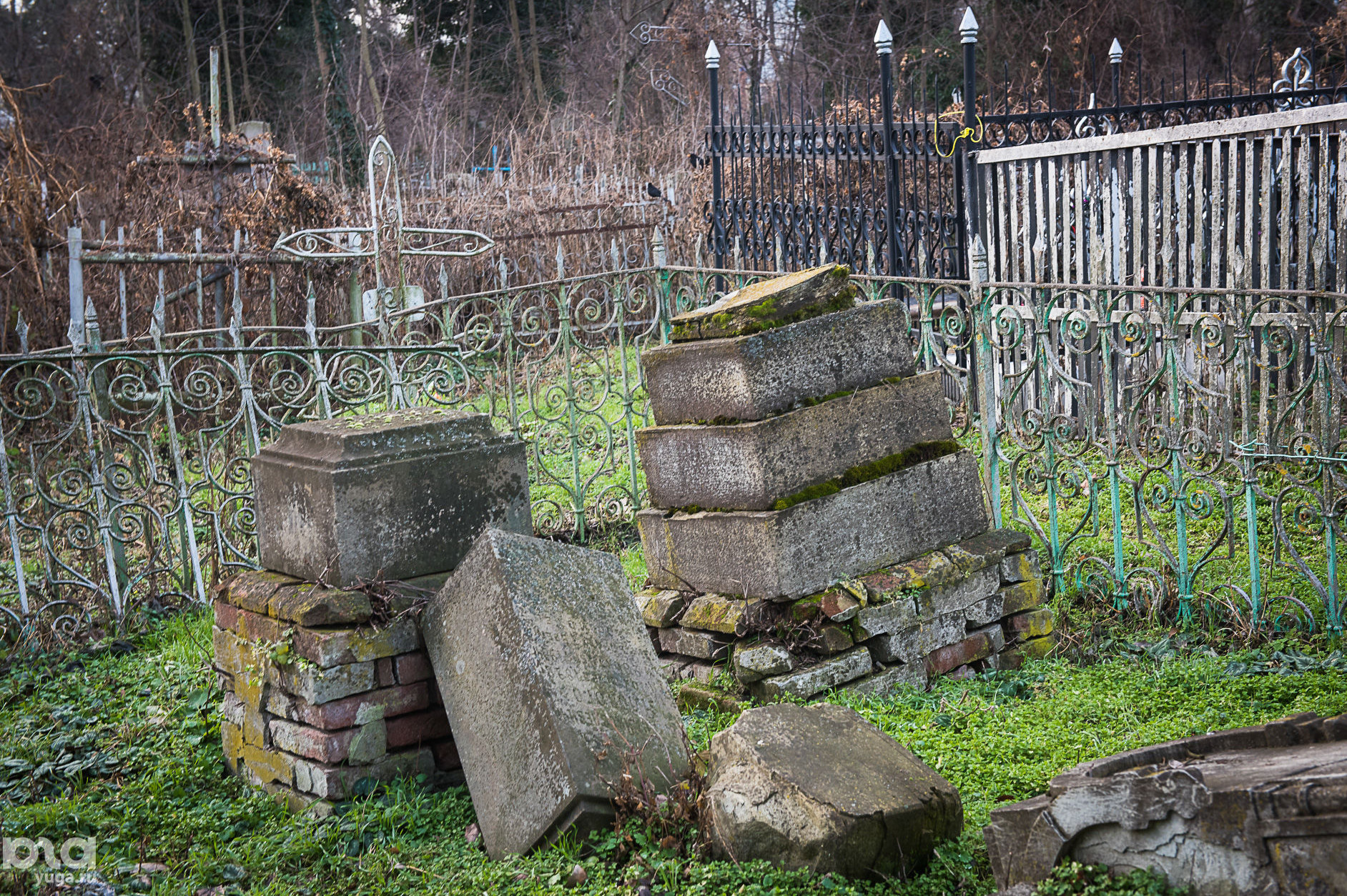 В Краснодаре планируют очистить от аварийных деревьев Всесвятское кладбище