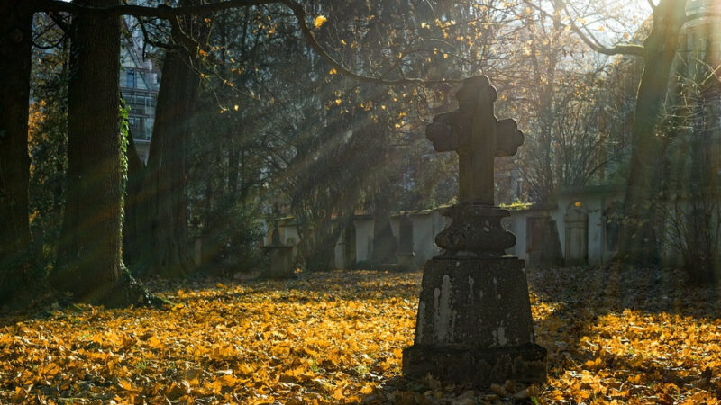 В Краснодаре определили подрядчика проекта нового кладбища в ст. Елизаветинской