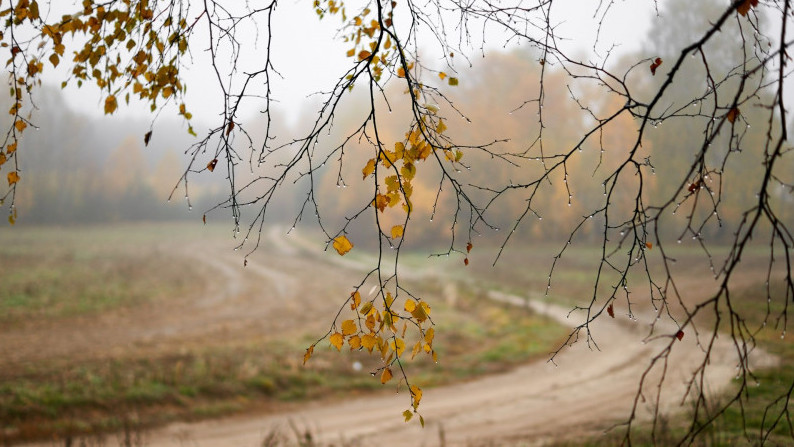 На Кубани прогнозируют похолодание и ветер до 30 м/с