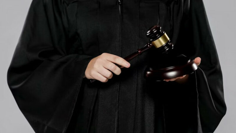 Споры за земли в Краснодаре и Геленджике и иск к «Тандеру» за песни: кто с кем судится на Кубани